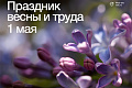 Поздравление ректора ВолгГТУ с Праздником Весны и Труда Поздравление ректора ВолгГТУ с Праздником Весны и Труда